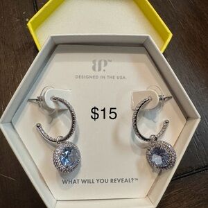 Stunning Silver and Blue Gemstone Earrings